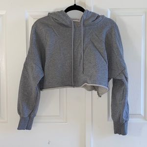 NWOT UO Grey Cropped Sweater Hoodie